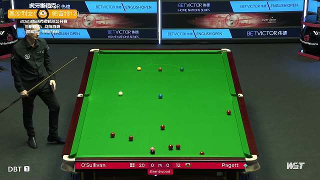 男排的期待 男排的期待