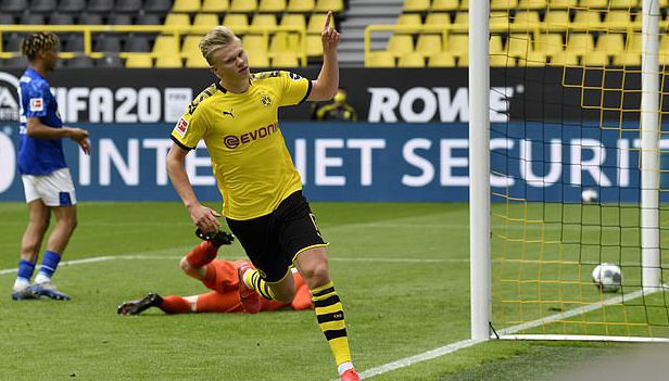 合理培养基 合理培养基