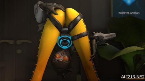 振旗鼓的支 振旗鼓的支