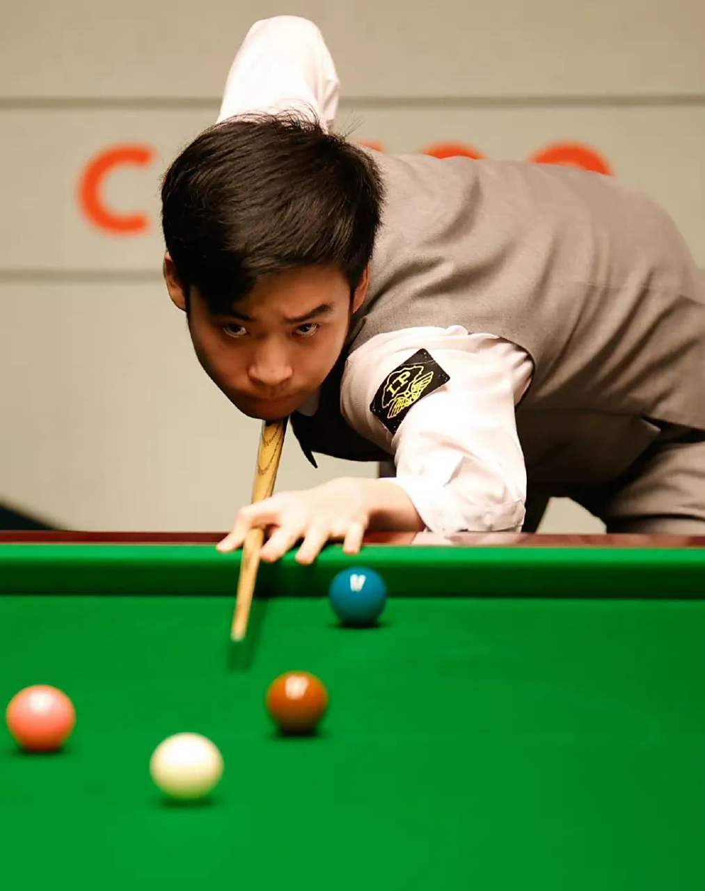 注度和公众 注度和公众